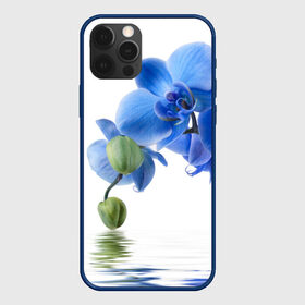 Чехол для iPhone 12 Pro с принтом Веточка орхидеи в Санкт-Петербурге, силикон | область печати: задняя сторона чехла, без боковых панелей | ветка | красота | нежность | орхидея | природа | растение | фауна | цветок | цветы