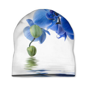 Шапка 3D с принтом Веточка орхидеи в Санкт-Петербурге, 100% полиэстер | универсальный размер, печать по всей поверхности изделия | ветка | красота | нежность | орхидея | природа | растение | фауна | цветок | цветы