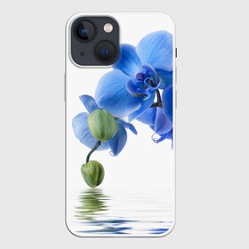 Чехол для iPhone 13 mini с принтом Веточка орхидеи в Санкт-Петербурге,  |  | ветка | красота | нежность | орхидея | природа | растение | фауна | цветок | цветы