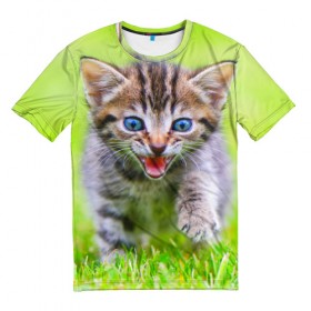 Мужская футболка 3D с принтом Кися в Санкт-Петербурге, 100% полиэфир | прямой крой, круглый вырез горловины, длина до линии бедер | Тематика изображения на принте: домашние | животные | кот | котёнок | кошка | милый