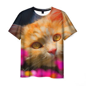 Мужская футболка 3D с принтом Кошечка в Санкт-Петербурге, 100% полиэфир | прямой крой, круглый вырез горловины, длина до линии бедер | животные | кот | кошка | милая | рыжий