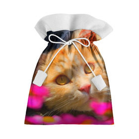 Подарочный 3D мешок с принтом Кошечка в Санкт-Петербурге, 100% полиэстер | Размер: 29*39 см | Тематика изображения на принте: животные | кот | кошка | милая | рыжий