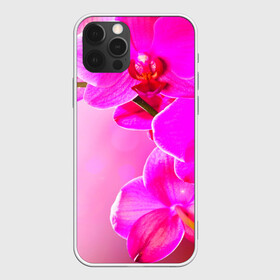 Чехол для iPhone 12 Pro с принтом Орхидея в Санкт-Петербурге, силикон | область печати: задняя сторона чехла, без боковых панелей | лепесток | новая | орхидея | природа | цветок | яркая