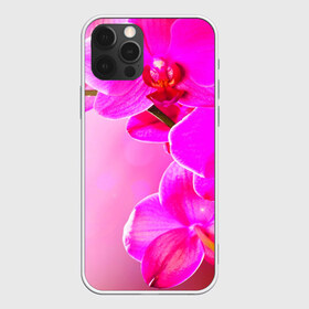 Чехол для iPhone 12 Pro Max с принтом Орхидея в Санкт-Петербурге, Силикон |  | лепесток | новая | орхидея | природа | цветок | яркая