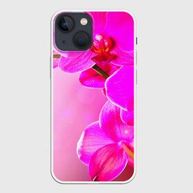Чехол для iPhone 13 mini с принтом Орхидея в Санкт-Петербурге,  |  | лепесток | новая | орхидея | природа | цветок | яркая