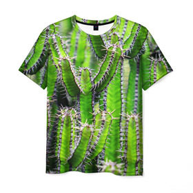 Мужская футболка 3D с принтом Кактус в Санкт-Петербурге, 100% полиэфир | прямой крой, круглый вырез горловины, длина до линии бедер | кактус | колючки | прикольные картинки | природа | цветочки | цветы