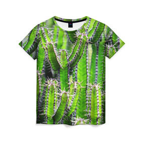 Женская футболка 3D с принтом Кактус в Санкт-Петербурге, 100% полиэфир ( синтетическое хлопкоподобное полотно) | прямой крой, круглый вырез горловины, длина до линии бедер | кактус | колючки | прикольные картинки | природа | цветочки | цветы