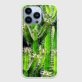 Чехол для iPhone 13 Pro с принтом Кактус в Санкт-Петербурге,  |  | кактус | колючки | прикольные картинки | природа | цветочки | цветы