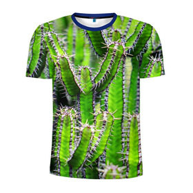 Мужская футболка 3D спортивная с принтом Кактус в Санкт-Петербурге, 100% полиэстер с улучшенными характеристиками | приталенный силуэт, круглая горловина, широкие плечи, сужается к линии бедра | кактус | колючки | прикольные картинки | природа | цветочки | цветы