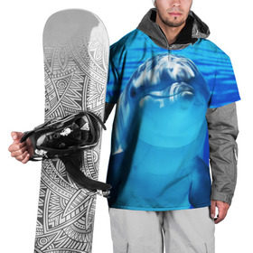 Накидка на куртку 3D с принтом Дельфин в Санкт-Петербурге, 100% полиэстер |  | вода | дельфин | море | отдых | отпуск | подводный мир | туризм