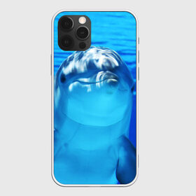 Чехол для iPhone 12 Pro Max с принтом Дельфин в Санкт-Петербурге, Силикон |  | Тематика изображения на принте: вода | дельфин | море | отдых | отпуск | подводный мир | туризм