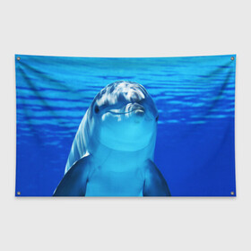 Флаг-баннер с принтом Дельфин в Санкт-Петербурге, 100% полиэстер | размер 67 х 109 см, плотность ткани — 95 г/м2; по краям флага есть четыре люверса для крепления | вода | дельфин | море | отдых | отпуск | подводный мир | туризм
