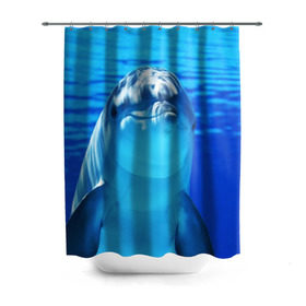 Штора 3D для ванной с принтом Дельфин в Санкт-Петербурге, 100% полиэстер | плотность материала — 100 г/м2. Стандартный размер — 146 см х 180 см. По верхнему краю — пластиковые люверсы для креплений. В комплекте 10 пластиковых колец | вода | дельфин | море | отдых | отпуск | подводный мир | туризм
