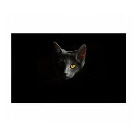 Бумага для упаковки 3D с принтом Кошачий взгляд в Санкт-Петербурге, пластик и полированная сталь | круглая форма, металлическое крепление в виде кольца | Тематика изображения на принте: глаз | киска | кот | котёнок | кошка | прикольные картинки | темнота | тьма