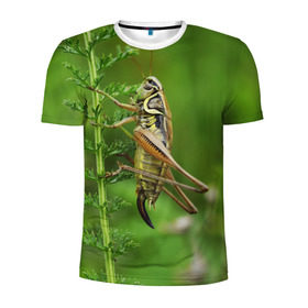 Мужская футболка 3D спортивная с принтом Кузнечик в Санкт-Петербурге, 100% полиэстер с улучшенными характеристиками | приталенный силуэт, круглая горловина, широкие плечи, сужается к линии бедра | Тематика изображения на принте: насекомые. кузнечик | природа | стебель