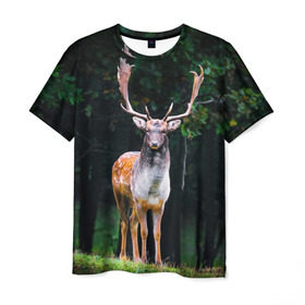 Мужская футболка 3D с принтом Благородный олень в Санкт-Петербурге, 100% полиэфир | прямой крой, круглый вырез горловины, длина до линии бедер | деревья | лес | олень | природа | рога