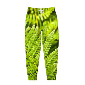 Мужские брюки 3D с принтом Папоротник в Санкт-Петербурге, 100% полиэстер | манжеты по низу, эластичный пояс регулируется шнурком, по бокам два кармана без застежек, внутренняя часть кармана из мелкой сетки | ботаника | зелень | листья | папоротник | природа | растения | цветок