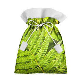 Подарочный 3D мешок с принтом Папоротник в Санкт-Петербурге, 100% полиэстер | Размер: 29*39 см | Тематика изображения на принте: ботаника | зелень | листья | папоротник | природа | растения | цветок