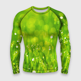 Мужской рашгард 3D с принтом Роса на траве в Санкт-Петербурге,  |  | Тематика изображения на принте: зелёный | зелень | луг | роса | яркий