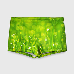 Детские купальные плавки 3D с принтом Роса на траве в Санкт-Петербурге, Полиэстер 85%, Спандекс 15% | Слитный крой, подклад по переду изделия, узкие бретели | зелёный | зелень | луг | роса | яркий