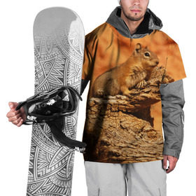 Накидка на куртку 3D с принтом Суслик в Санкт-Петербурге, 100% полиэстер |  | голова животного | грызун | песок | природа | пустыня | степь | суслик