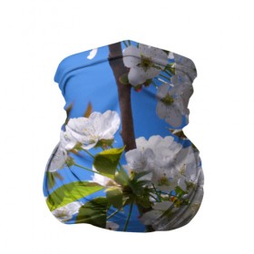Бандана-труба 3D с принтом Вишнёвый цвет в Санкт-Петербурге, 100% полиэстер, ткань с особыми свойствами — Activecool | плотность 150‒180 г/м2; хорошо тянется, но сохраняет форму | весна | вишня | лепестки | прикольные картинки | цветение | цветы