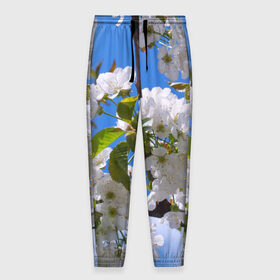 Мужские брюки 3D с принтом Вишнёвый цвет в Санкт-Петербурге, 100% полиэстер | манжеты по низу, эластичный пояс регулируется шнурком, по бокам два кармана без застежек, внутренняя часть кармана из мелкой сетки | весна | вишня | лепестки | прикольные картинки | цветение | цветы