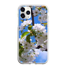 Чехол для iPhone 11 Pro Max матовый с принтом Вишнёвый цвет в Санкт-Петербурге, Силикон |  | весна | вишня | лепестки | прикольные картинки | цветение | цветы