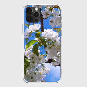 Чехол для iPhone 12 Pro Max с принтом Вишнёвый цвет в Санкт-Петербурге, Силикон |  | весна | вишня | лепестки | прикольные картинки | цветение | цветы