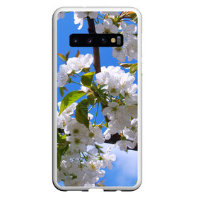 Чехол для Samsung Galaxy S10 с принтом Вишнёвый цвет в Санкт-Петербурге, Силикон | Область печати: задняя сторона чехла, без боковых панелей | весна | вишня | лепестки | прикольные картинки | цветение | цветы