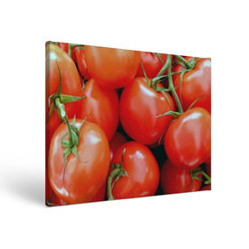 Холст прямоугольный с принтом Томаты в Санкт-Петербурге, 100% ПВХ |  | Тематика изображения на принте: дача | еда | зелень | красный | овощи | огород | помидоры | томаты