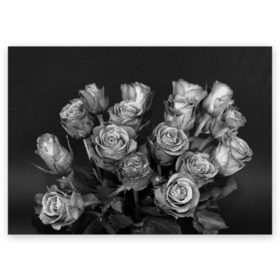Поздравительная открытка с принтом Черно-белые розы в Санкт-Петербурге, 100% бумага | плотность бумаги 280 г/м2, матовая, на обратной стороне линовка и место для марки
 | букет | цветы
