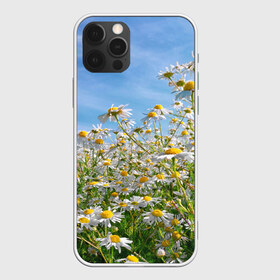 Чехол для iPhone 12 Pro Max с принтом Ромашковый рай в Санкт-Петербурге, Силикон |  | лепестки | небо | прикольные картинки | ромашки | солнце | цветочки | цветы
