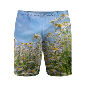 Мужские шорты 3D спортивные с принтом Ромашковый рай в Санкт-Петербурге,  |  | Тематика изображения на принте: лепестки | небо | прикольные картинки | ромашки | солнце | цветочки | цветы