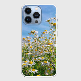 Чехол для iPhone 13 Pro с принтом Ромашковый рай в Санкт-Петербурге,  |  | лепестки | небо | прикольные картинки | ромашки | солнце | цветочки | цветы