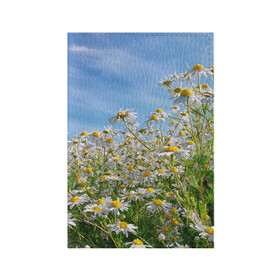 Обложка для паспорта матовая кожа с принтом Ромашковый рай в Санкт-Петербурге, натуральная матовая кожа | размер 19,3 х 13,7 см; прозрачные пластиковые крепления | лепестки | небо | прикольные картинки | ромашки | солнце | цветочки | цветы
