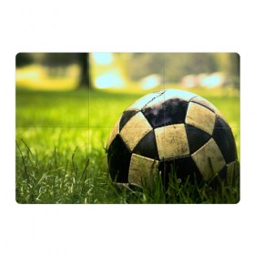 Магнитный плакат 3Х2 с принтом Футбол в Санкт-Петербурге, Полимерный материал с магнитным слоем | 6 деталей размером 9*9 см | стадион | футбольное поле | футбольный мяч