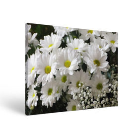 Холст прямоугольный с принтом Белоснежное цветение в Санкт-Петербурге, 100% ПВХ |  | ландыши | лепестки | прикольные картинки | ромашки | цветочки | цветы