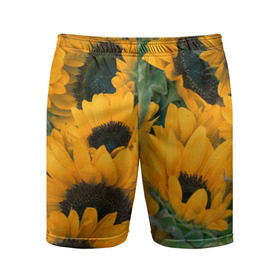 Мужские шорты 3D спортивные с принтом Подсолнухи в Санкт-Петербурге,  |  | желтый | зеленый | лето | подсолнухи | цветы | черный