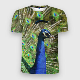 Мужская футболка 3D спортивная с принтом Павлин в Санкт-Петербурге, 100% полиэстер с улучшенными характеристиками | приталенный силуэт, круглая горловина, широкие плечи, сужается к линии бедра | Тематика изображения на принте: животные | павлин | перо | перышки | природа | птица
