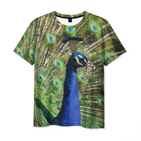Мужская футболка 3D с принтом Павлин в Санкт-Петербурге, 100% полиэфир | прямой крой, круглый вырез горловины, длина до линии бедер | Тематика изображения на принте: животные | павлин | перо | перышки | природа | птица
