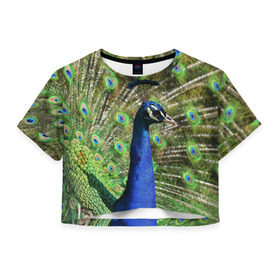 Женская футболка 3D укороченная с принтом Павлин в Санкт-Петербурге, 100% полиэстер | круглая горловина, длина футболки до линии талии, рукава с отворотами | животные | павлин | перо | перышки | природа | птица