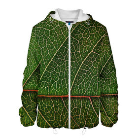Мужская куртка 3D с принтом Листик в Санкт-Петербурге, ткань верха — 100% полиэстер, подклад — флис | прямой крой, подол и капюшон оформлены резинкой с фиксаторами, два кармана без застежек по бокам, один большой потайной карман на груди. Карман на груди застегивается на липучку | дерево | зеленый | зелень | лист | природа | растения