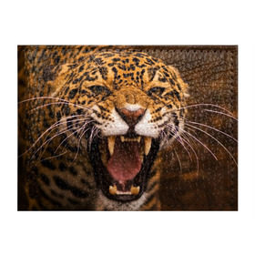 Обложка для студенческого билета с принтом Леопард в Санкт-Петербурге, натуральная кожа | Размер: 11*8 см; Печать на всей внешней стороне | дикая кошка | клыки | леопард | оскал | хищник