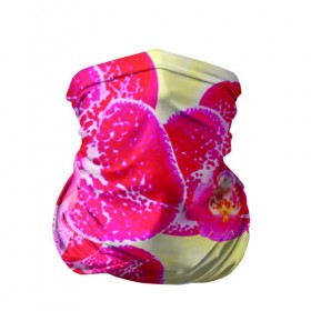 Бандана-труба 3D с принтом Орхидея в Санкт-Петербурге, 100% полиэстер, ткань с особыми свойствами — Activecool | плотность 150‒180 г/м2; хорошо тянется, но сохраняет форму | лепесток | орхидея | природа | цветок | яркая