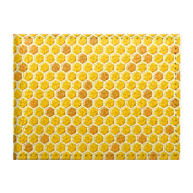 Обложка для студенческого билета с принтом Медовые соты в Санкт-Петербурге, натуральная кожа | Размер: 11*8 см; Печать на всей внешней стороне | арт | еда | мед | пчелы | соты