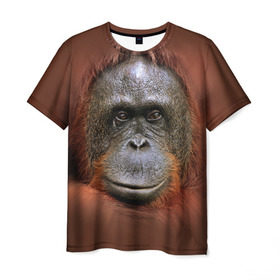 Мужская футболка 3D с принтом Обезьяна в Санкт-Петербурге, 100% полиэфир | прямой крой, круглый вырез горловины, длина до линии бедер | животные | о.м.с.к. | обезьяна | орангутанг