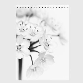 Скетчбук с принтом Белые цветочки 5 в Санкт-Петербурге, 100% бумага
 | 48 листов, плотность листов — 100 г/м2, плотность картонной обложки — 250 г/м2. Листы скреплены сверху удобной пружинной спиралью | белый | цветок | цветы