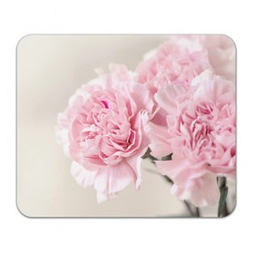 Коврик прямоугольный с принтом Розовый цветок 5 в Санкт-Петербурге, натуральный каучук | размер 230 х 185 мм; запечатка лицевой стороны | розовый | цветок | цветы