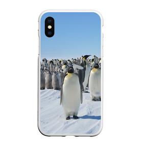 Чехол для iPhone XS Max матовый с принтом Пингвины в Санкт-Петербурге, Силикон | Область печати: задняя сторона чехла, без боковых панелей | пингвин
